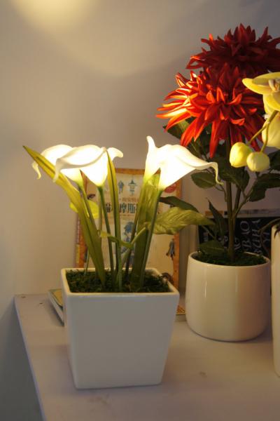 solar power LED calla lily (Солар power LED calla Лили)